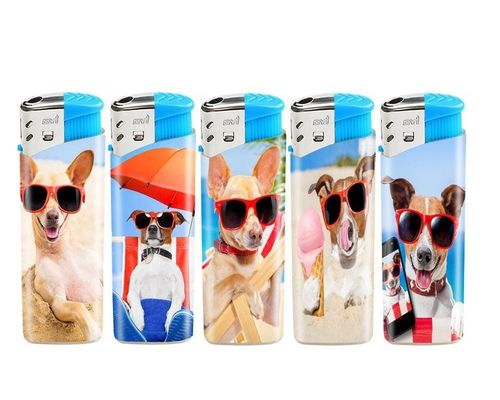 カスタマイズ プラスチック Dy-026 カートンフィギュア ラベル キャンピング 電子ガスライター