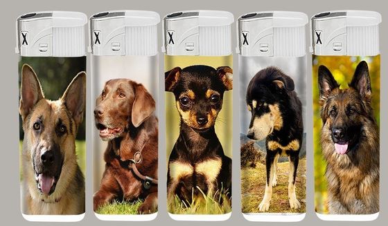 タバコ/プレゼント/装飾品のためのタッチでプラスチック使い捨て電子点灯器
